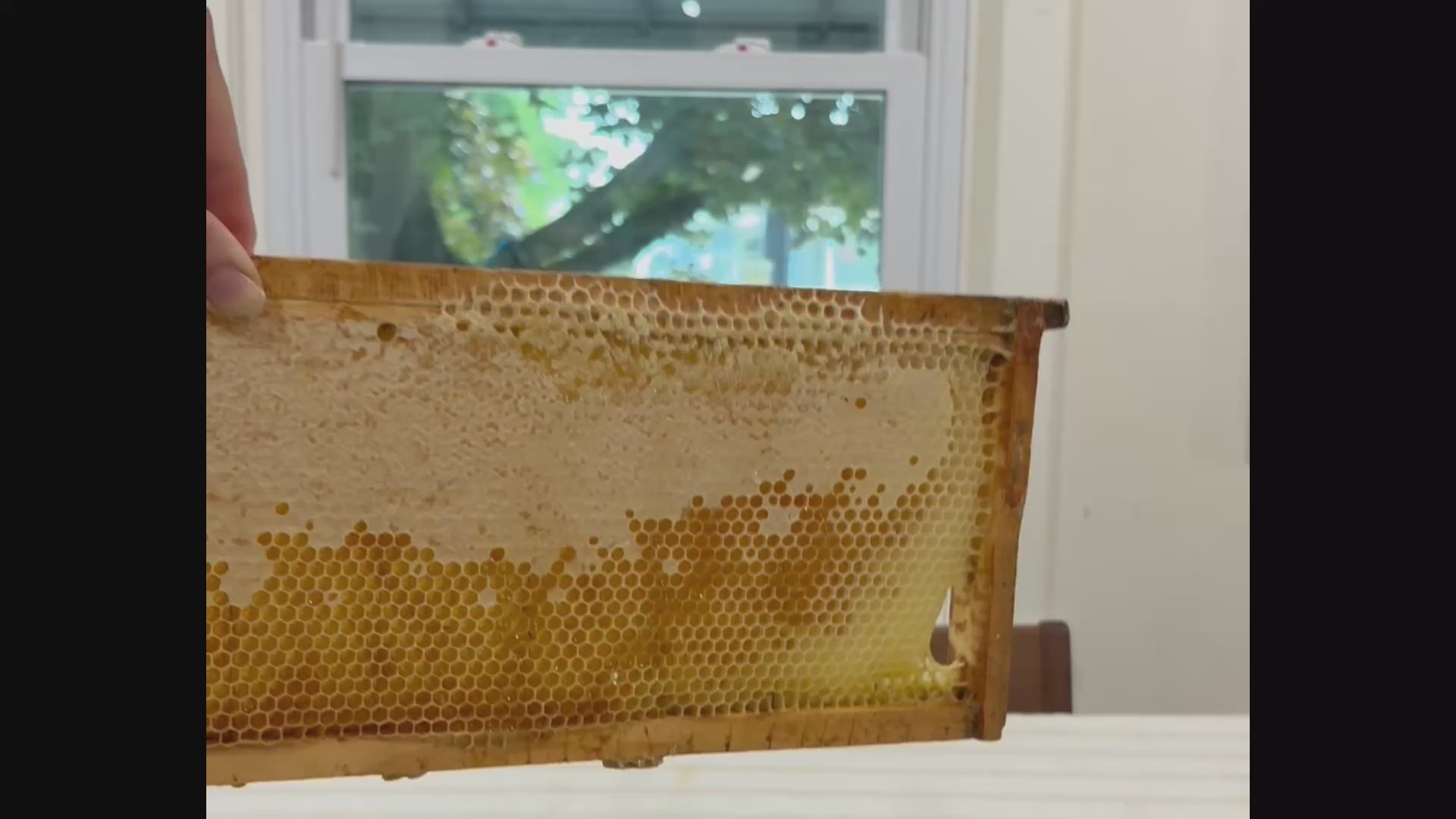 Honeycomb Frame Stand